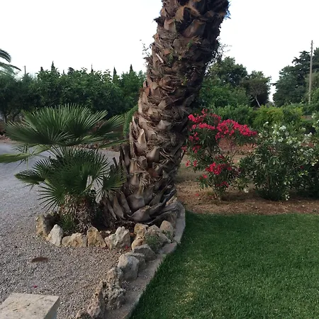 Jardi De Papallones Guest house 3*