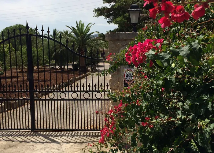 Jardi De Papallones Pollença