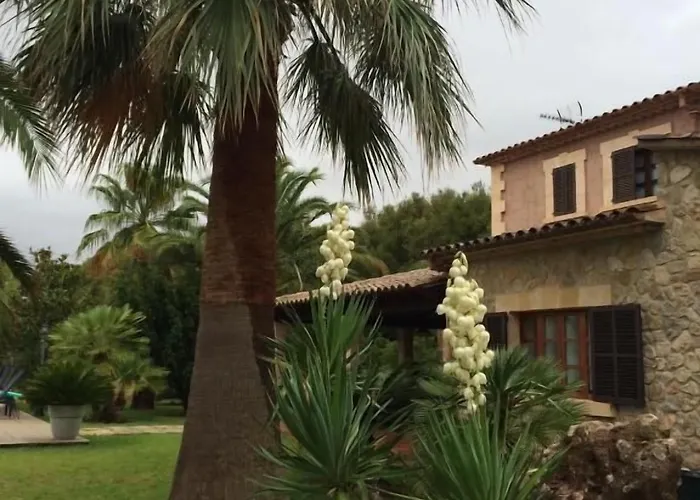 Jardi De Papallones 3* Pollença