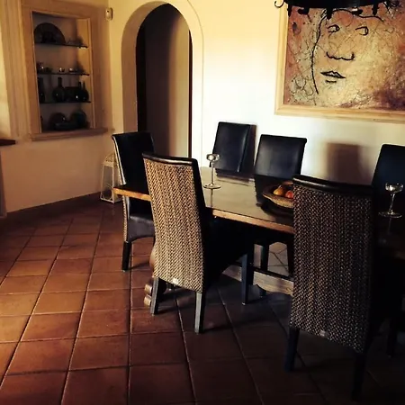 Jardi De Papallones Pollenca