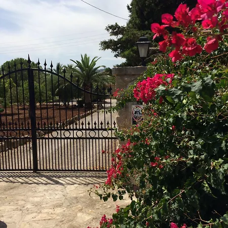 Jardi De Papallones Pollenca