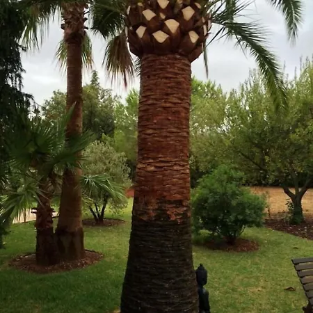 Guest house Jardi De Papallones 3*