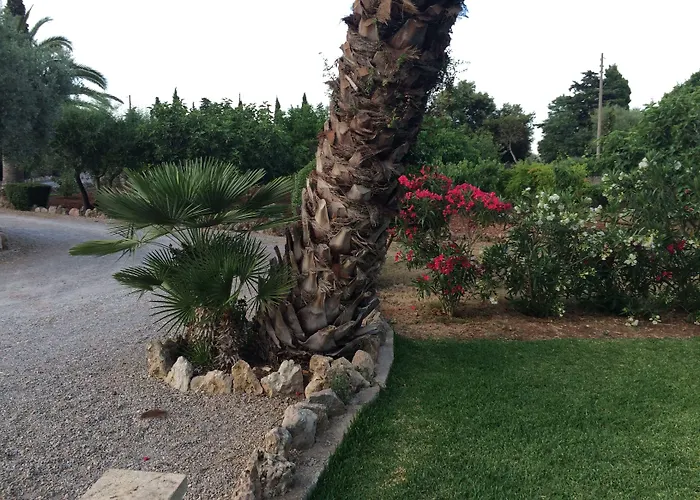 Jardi De Papallones Guest house 3*