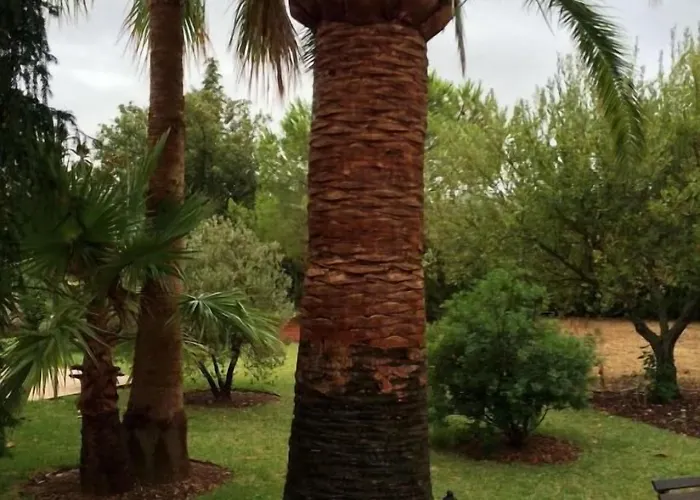 בית הארחה Jardi De Papallones 3*